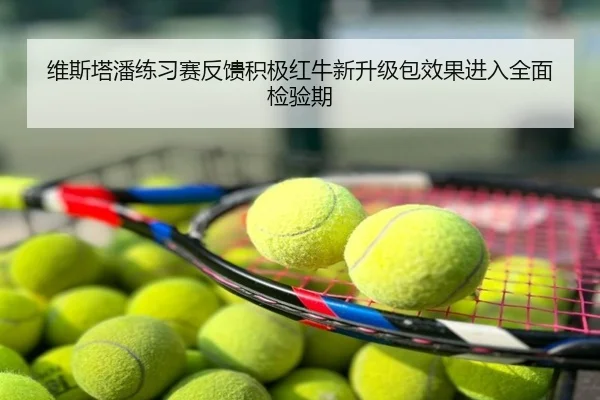 维斯塔潘练习赛反馈积极红牛新升级包效果进入全面检验期